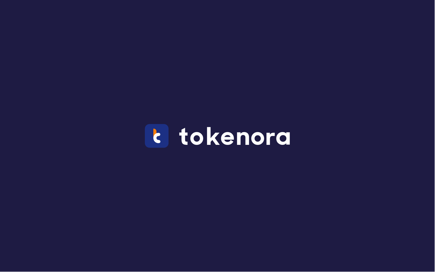 Tokenora brand identity — logo and symbol